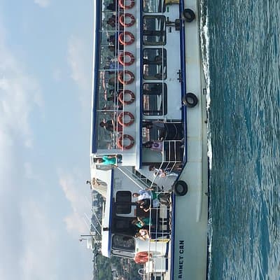 Bosphorus Cruise With Dolmabahçe Palace and Fortresses 4