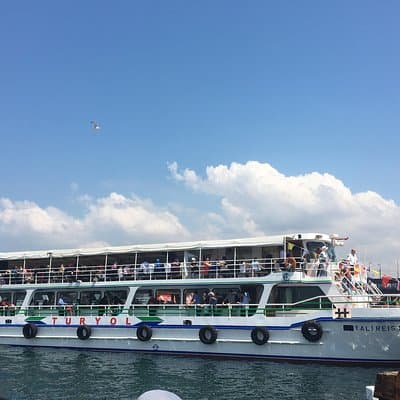 Bosphorus Cruise With Dolmabahçe Palace and Fortresses 5