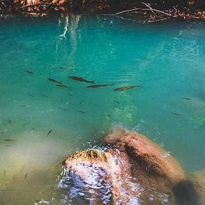 Erawan Waterfall and Elephant Care: Private Tour to Kanchanabur 4