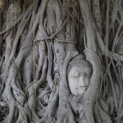 From Bangkok: Ayutthaya UNESCO World Heritage Small Group by Road 4