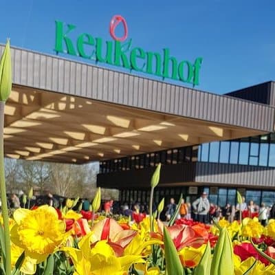 Amsterdam: Private Tour to Keukenhof and Flower-Farm with Ticket 3