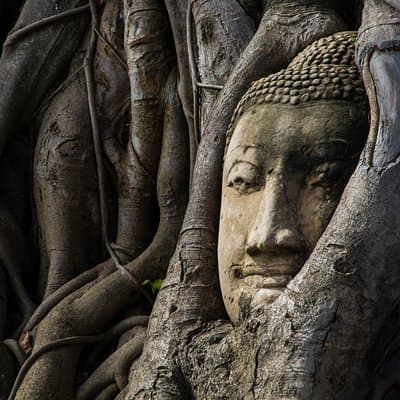 Private Tour : Ayutthaya World Heritage Site 2