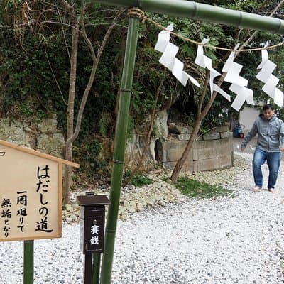 Rural Japan cycling tour to the rich nature area in Ichinomiya 4