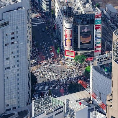 Tokyo Private Helicopter Tour– Asakusa, Skytree, Shibuya(30-Min) 3