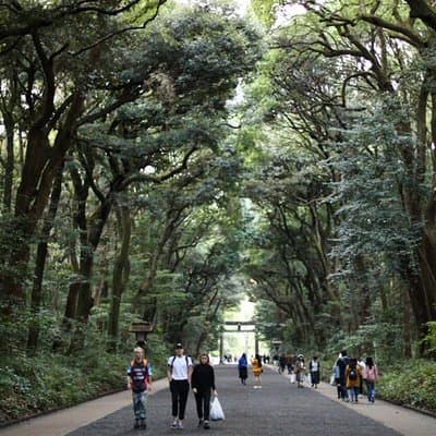 Japan Discovery Tour (12 Days) 4