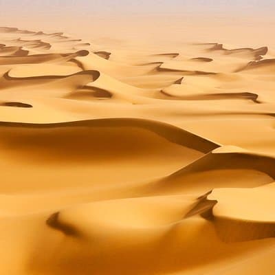 Morning Desert Safari with Camel Ride and Sandboarding 2