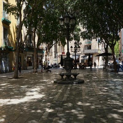 Gothic Quarter & Beyond: Leisurely Local Discoveries 5