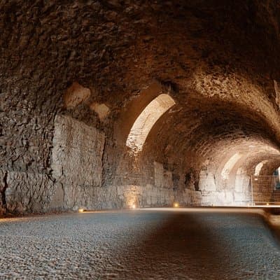 Colosseum Underground Private Tour with Palatine Hill & Forum 5