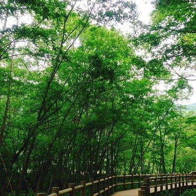 Kamikochi Mountain Day Trip from Tokyo 5