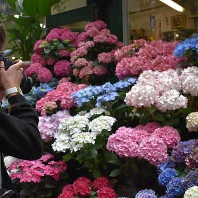 Marché Madness & Flea Markets: Full or Half day Privater Tours