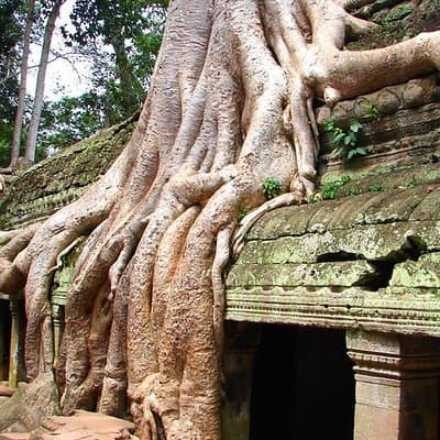 4 Days Expedition From Bangkok to Angkor Wat 5