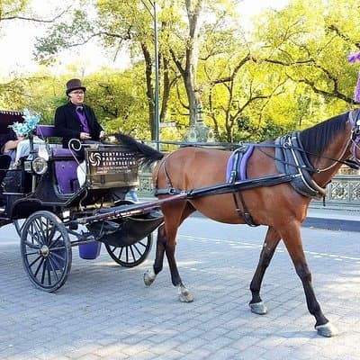 NYC Central Park Horse and Carriage Ride: Long Ride 45 min 2
