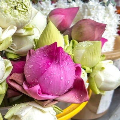 Bangkok Floating Markets and Boat Tour 3