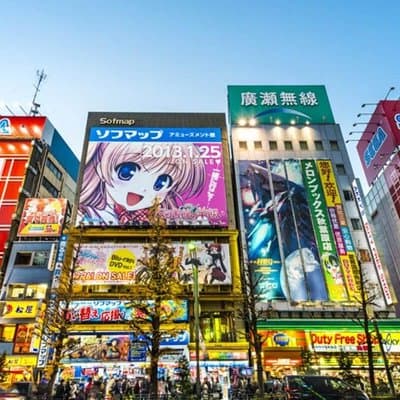 Tokyo Private Off-Beat Tour Hidden Oddities & Icons with a Local