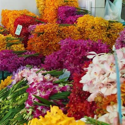 Explore Bangkok: Guided City and Temple Tour 5