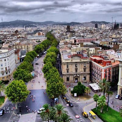 Winery Tour with Private Luxury Vehicle from Barcelona with Hotel pick up 5