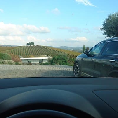 Private Transfer Between Lisbon, Porto, or Algarve 5