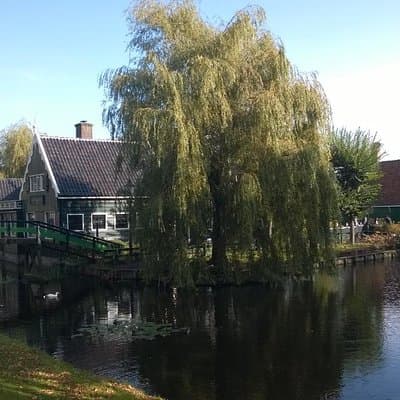 Zaanse Schans Windmills Private Tour from Amsterdam Airport 4