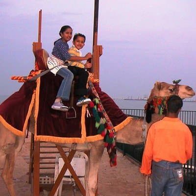 Camel Ride in Desert with Dune Bashing, BBQ Dinner and Belly Dance 2
