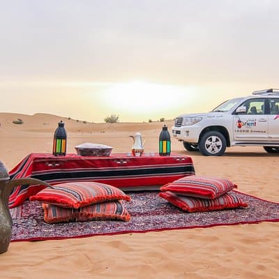 Private 4x4 Sunrise and Wildlife Experience in the Desert 2