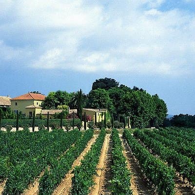 Winery Tour with Private Luxury Vehicle from Barcelona with Hotel pick up 4
