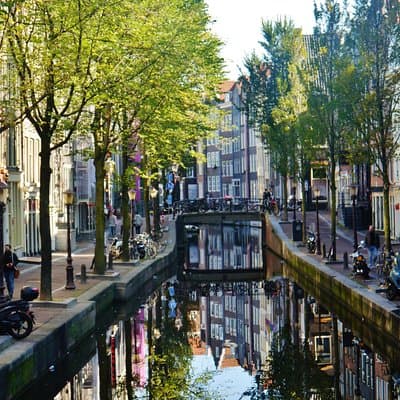Private 3-hour Walking Tour in Amsterdam with official tour guide 5