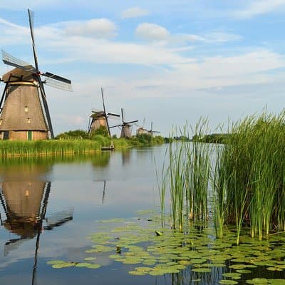 VIP tour: Private full-day tour of the Netherlands with luxury vehicle 4