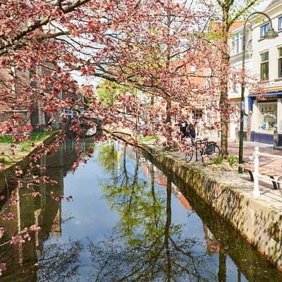 Private full-day tour of Delft and Rotterdam from Amsterdam 5