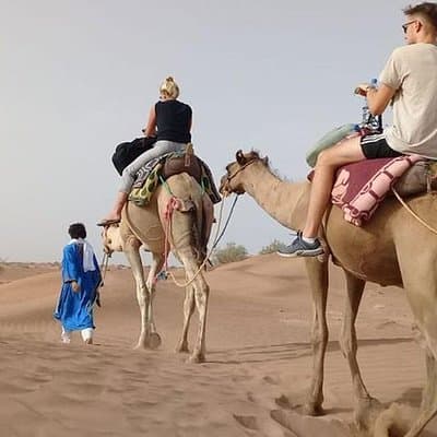 Camel Ride in Desert with Dune Bashing, BBQ Dinner and Belly Dance 3