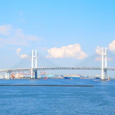 Private Arrival Transfer : Haneda Airport to Yokohama City 4