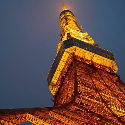 Tokyo Private Tour with Native Japanese Driver 5