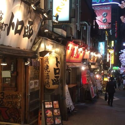 Private tour in Tokyo on your own custom itinerary