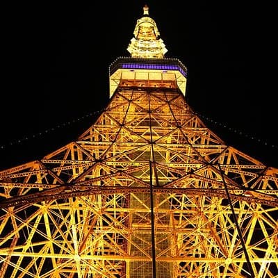 Tokyo City Night View Tour with Native Japanese Driver 2