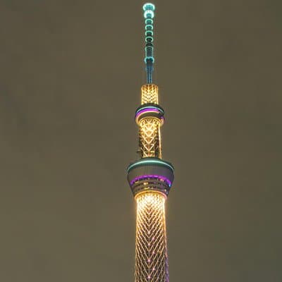 Tokyo Private Tour with Native Japanese Driver 4