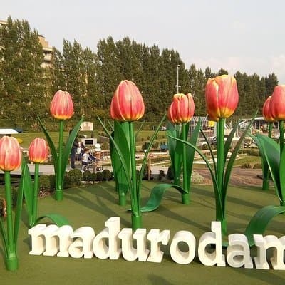 Private Delft and The Hague Tour incl. Madurodam from Amsterdam 4