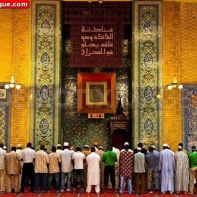 Halal Lisbon Private Tour With Muslim-friendly Lunch