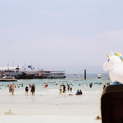 Private Transfer from Bangkok to Pattaya with 2h of Sightseeing 4