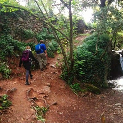 Montseny Guided Hiking Tour from Barcelona with Organic-friendly Lunch