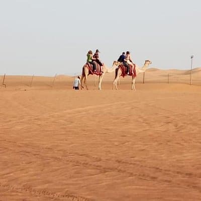 Morning Desert Safari With Quad Biking, Camel Riding and Dune Bashing 5