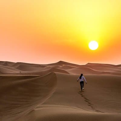 Private Abu Dhabi Desert Safari From Dubai with Hot BBQ Dinner 3