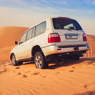 Morning Desert Safari 3