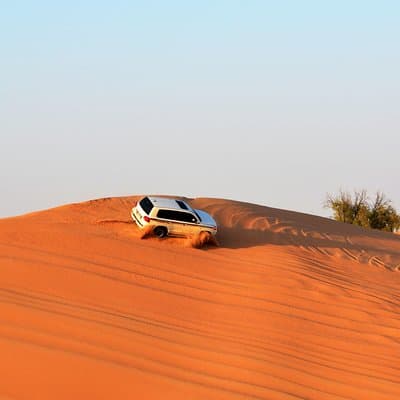 Morning Desert Safari 5