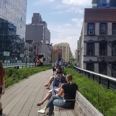 High Line & Hudson Yards Small Group Walking Tour 2