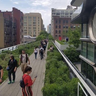 High Line & Hudson Yards Small Group Walking Tour 4