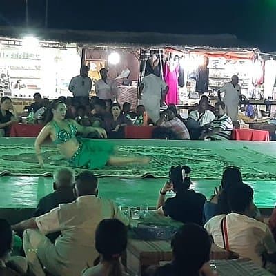 Private - Evening Desert Safari with Camel Ride, BBQ Dinner and Belly Dacne 4