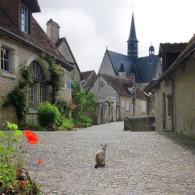 LOIRE VALLEY : Chenonceau, Valençay & Montresor ( the most beautiful village) 5