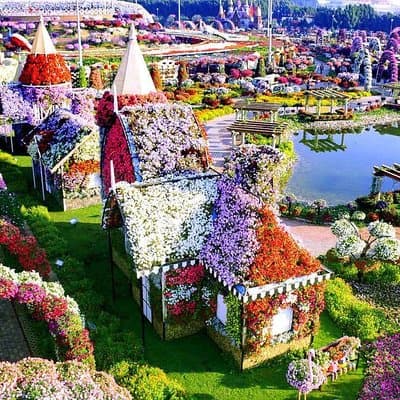 Memorable Evening at Dubai Global Village with Dubai Miracle Garden Visit !! 4