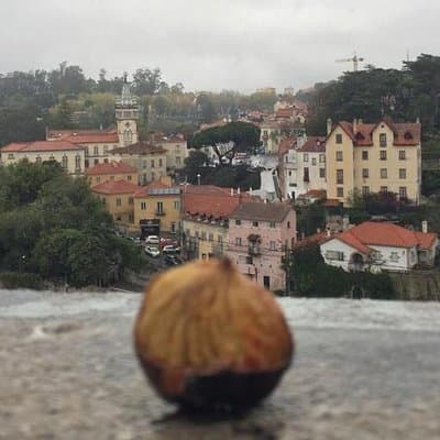 Sintra Tour 8 hours (private tour) 5