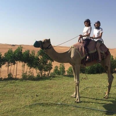 Dubai Morning Desert Safari with Sandboarding & Camel Ride 5
