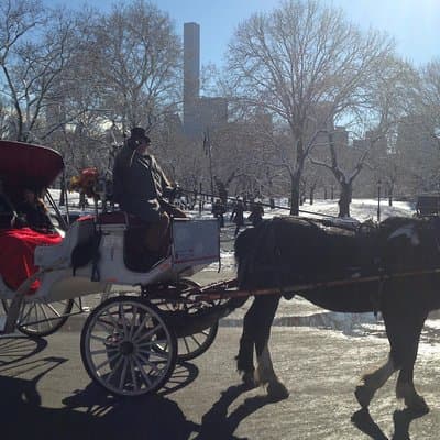 Private Walking Tour: Jewish Colonial History in New York City 4